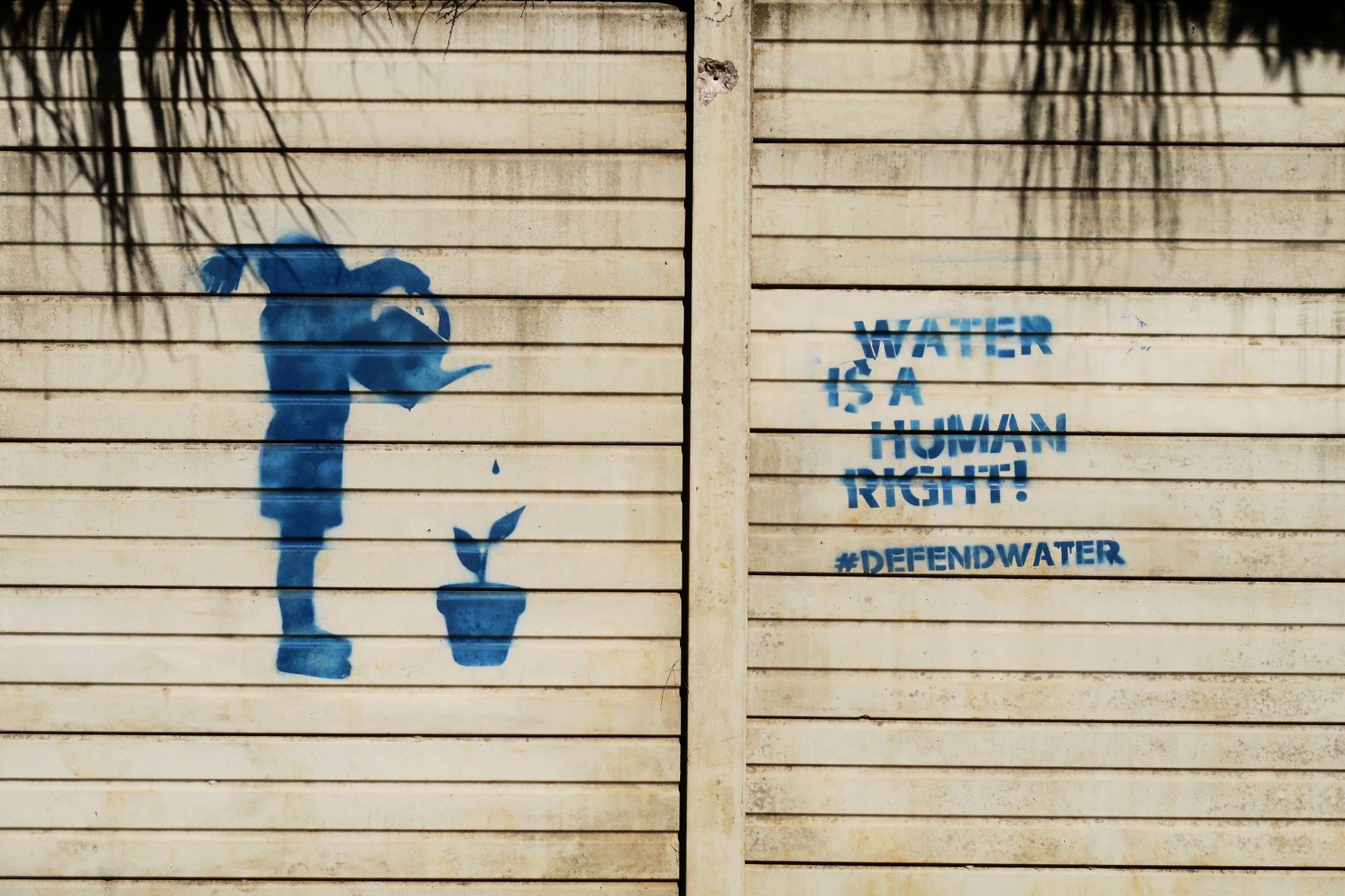 A painted image on a wall in Cape Town depicting little girl with a watering can watering a plant, with the title 'water is a human right'